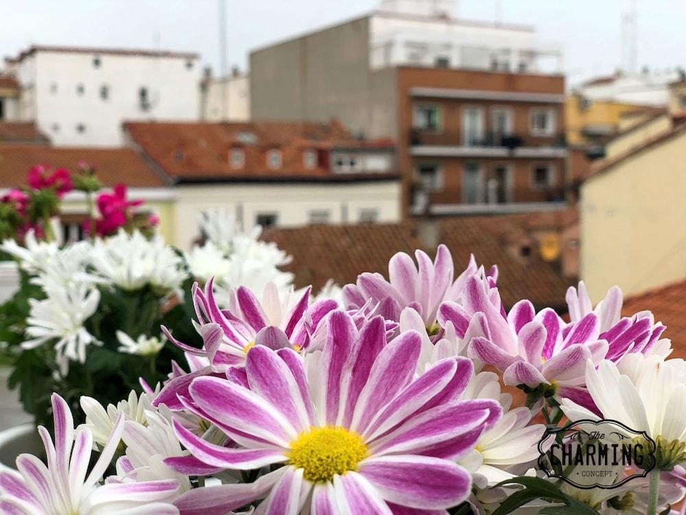 Ferienwohnung Charming Oasis In The Centre Of Madrid Exterior foto
